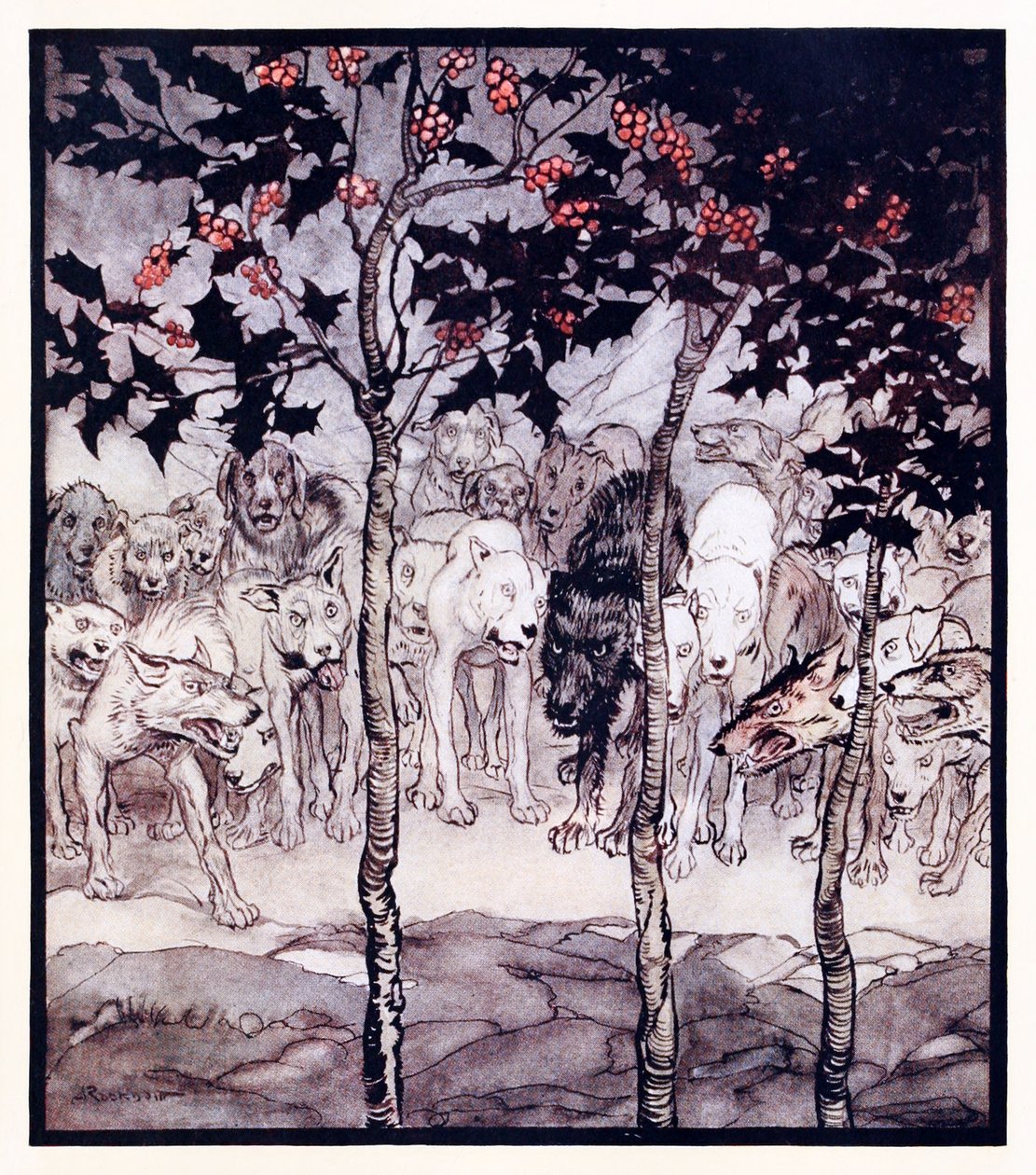 Ils se tenaient dehors, remplis de sauvagerie et de terreur de La grotte enchantée de Cesh Corran dans Contes de fées irlandais - Arthur Rackham