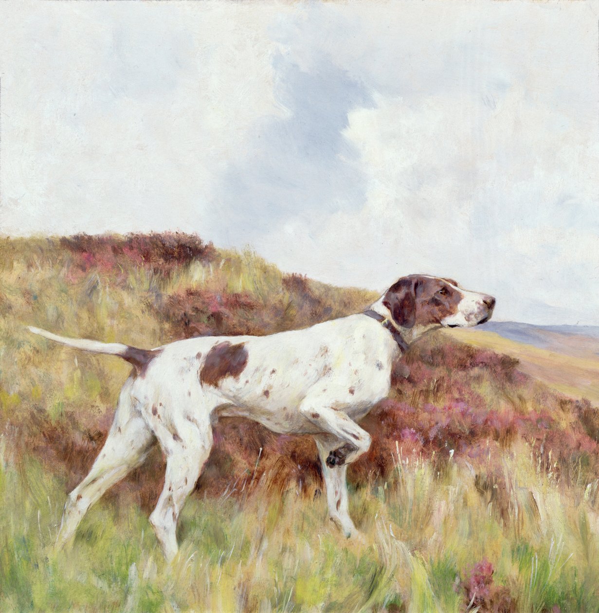 Un pointeur - Arthur Wardle