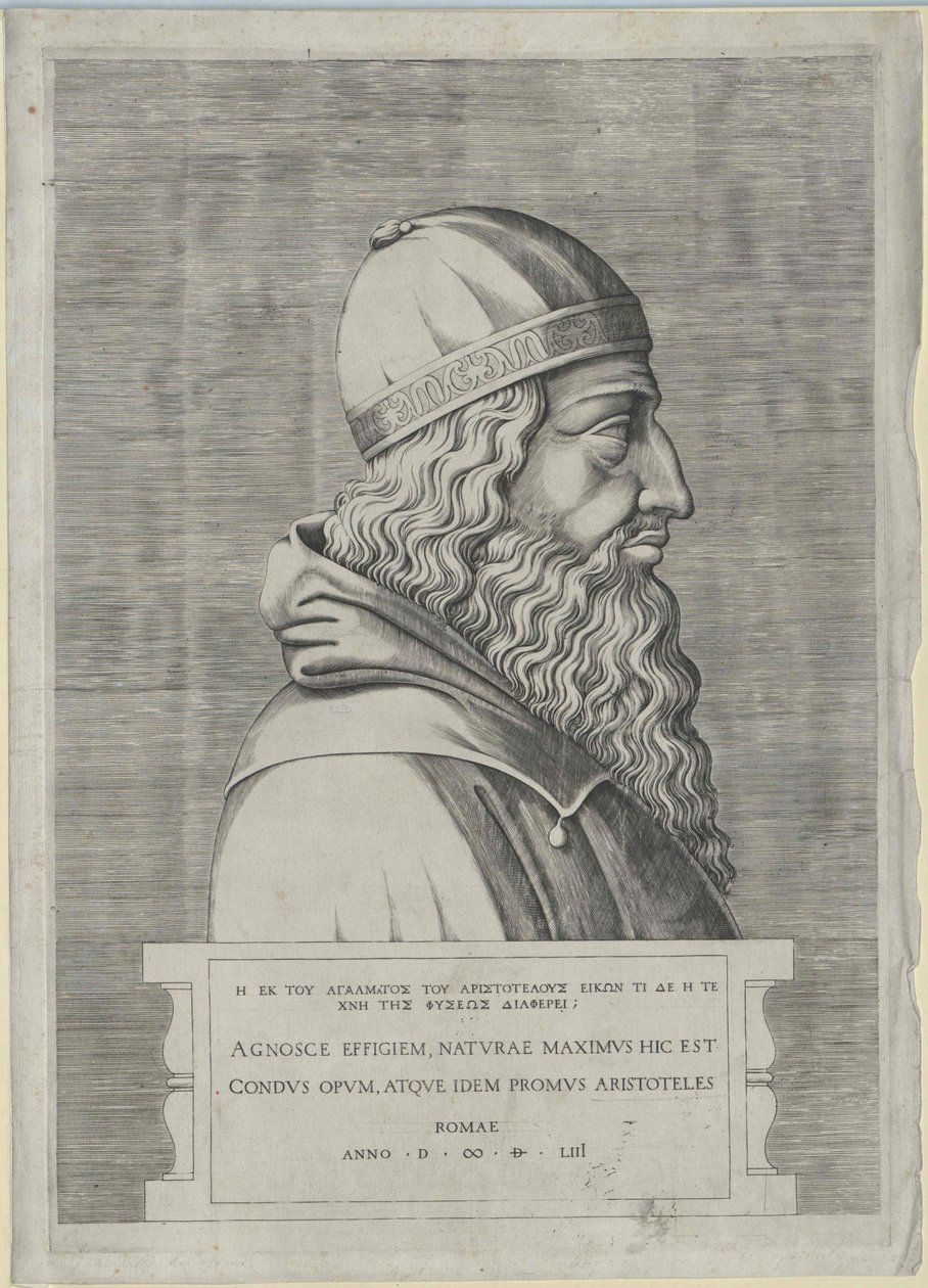Aristote (impression) - Artist Unknown