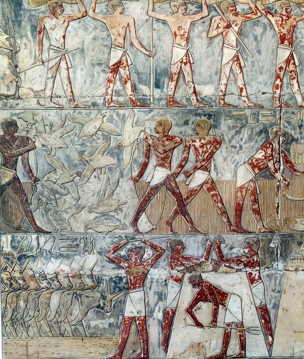 Art Égypte : scène agricole, VIe dynastie - Artist Unknown