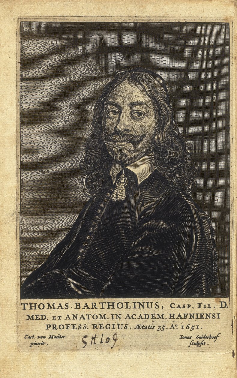 BARTHOLIN, Thomas (1616-1680). Médecin, mathématicien et théologien danois. Il est surtout connu pour son travail sur la découverte du système lymphatique chez l