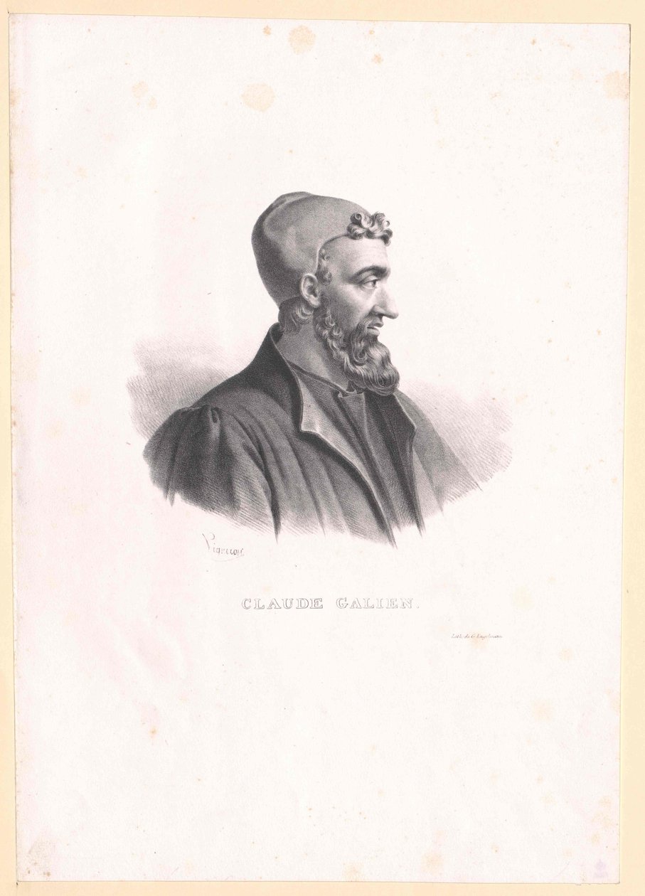 Galenus - Artist Unknown