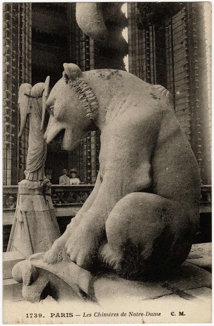 Gargouille ou chimère de la cathédrale Notre-Dame de Paris, construite entre 1163 et le XIVe siècle - Carte postale, collection Selva - Artist Unknown