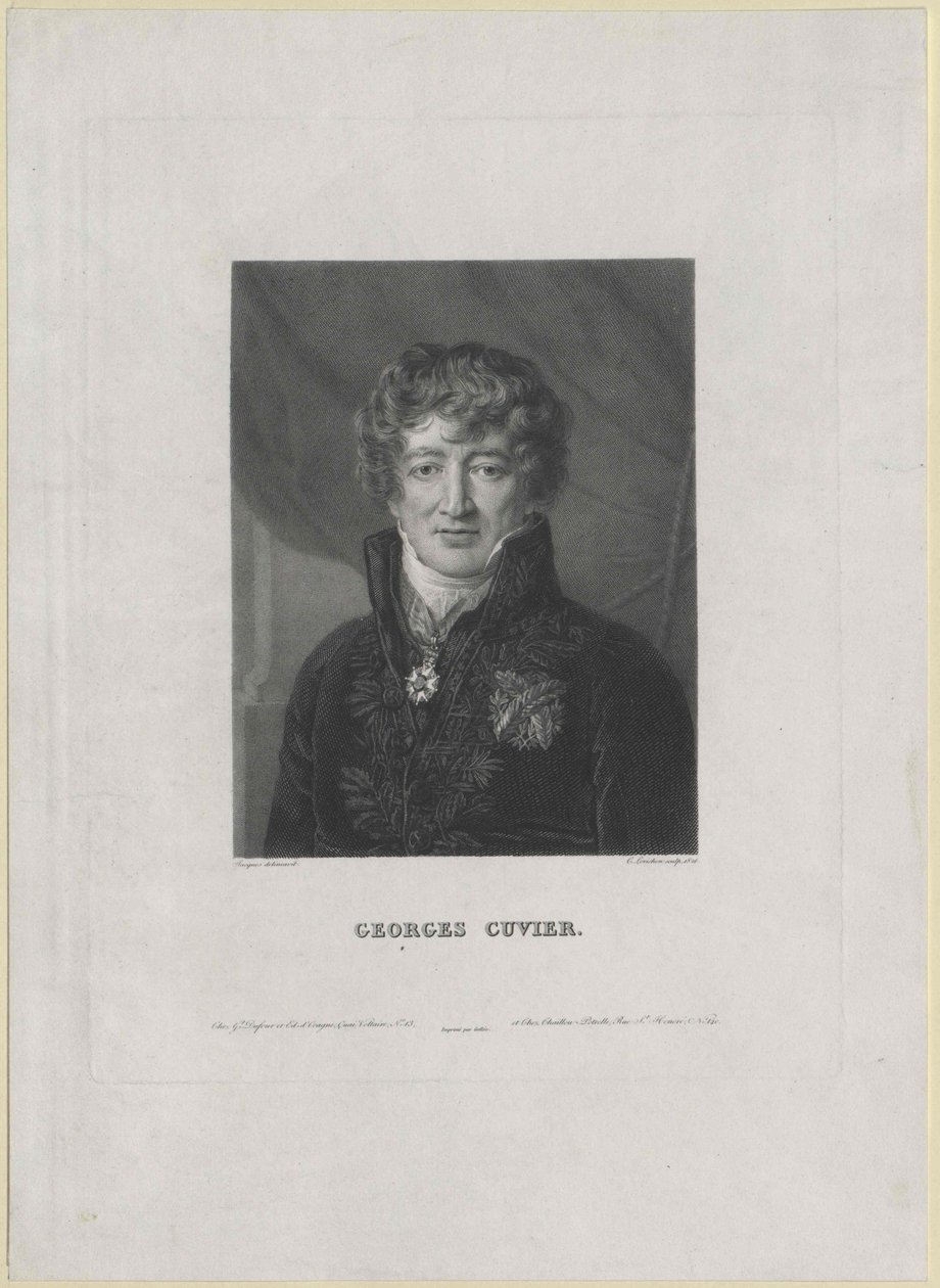 Georg Cuvier (impression) - Artist Unknown