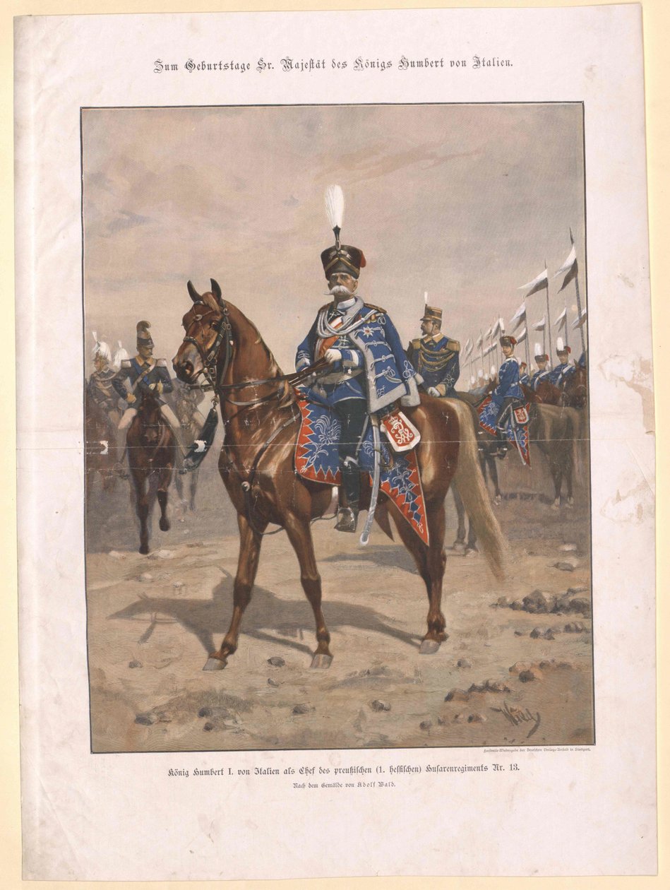 Roi d