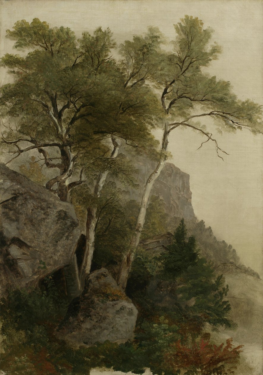 Paysage, 1855 - Asher Brown Durand