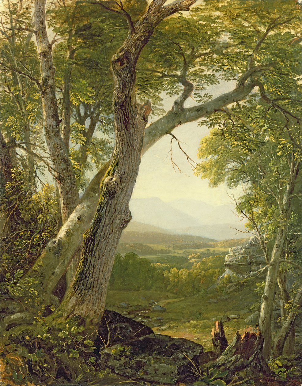 Shandaken Ridge, Kingston, New York, vers 1854 - Asher Brown Durand