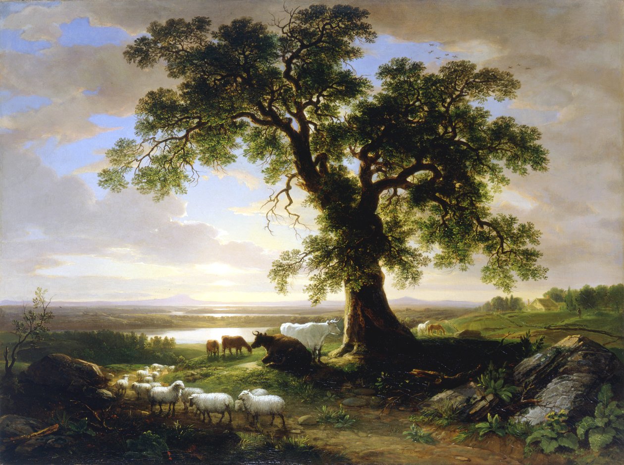 Le Chêne solitaire Le Vieux Chêne, 1844 - Asher Brown Durand