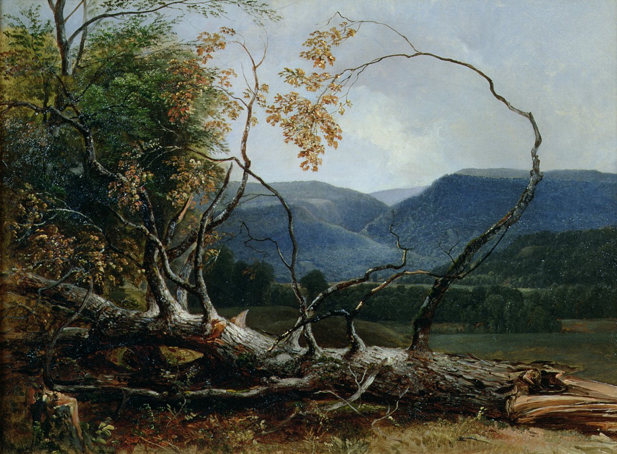 Stratton Notch, Vermont - Asher Brown Durand