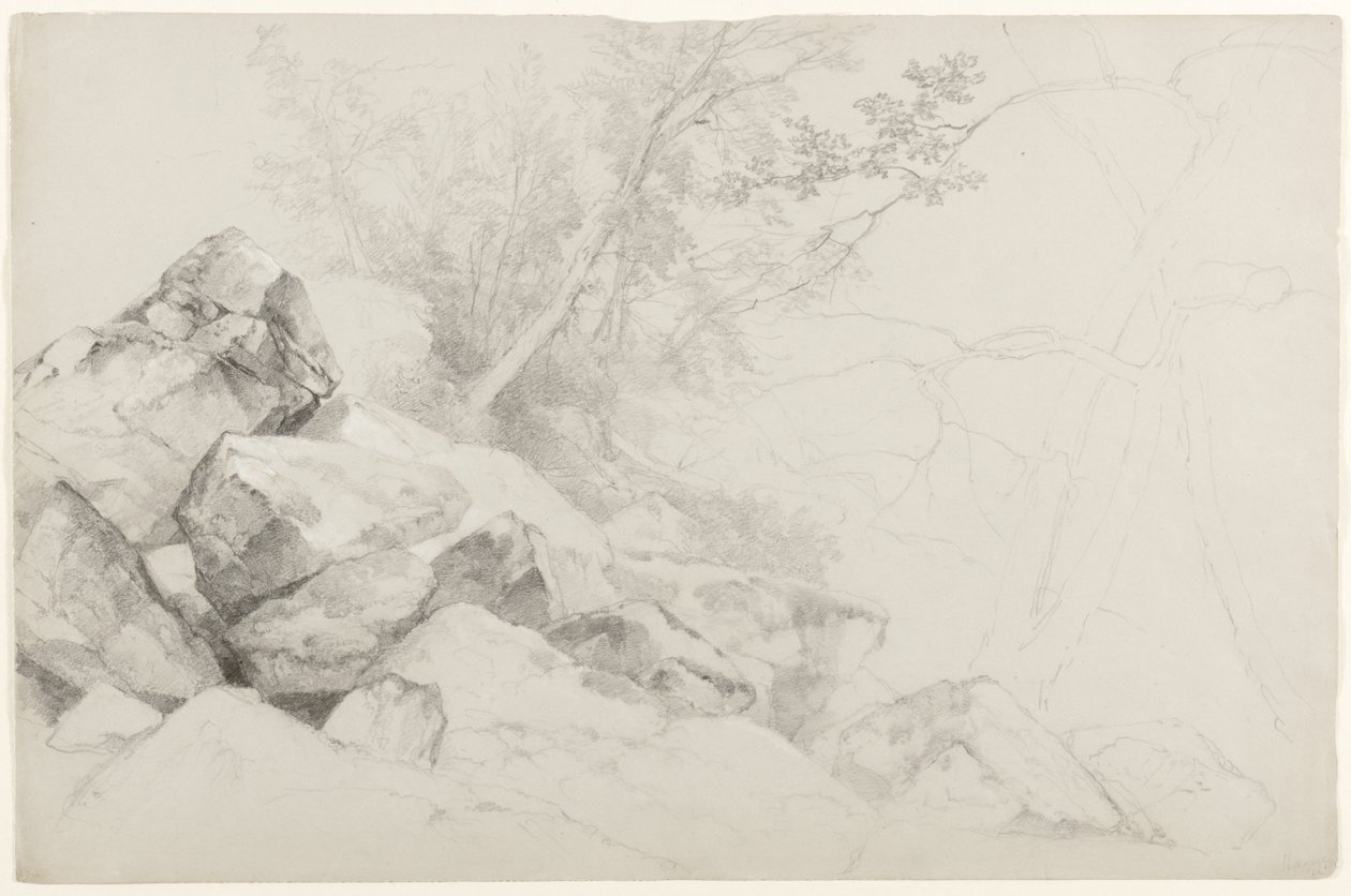 Étude de rochers avec arbres, Hague, Lake George, New York, 1862 - Asher Brown Durand