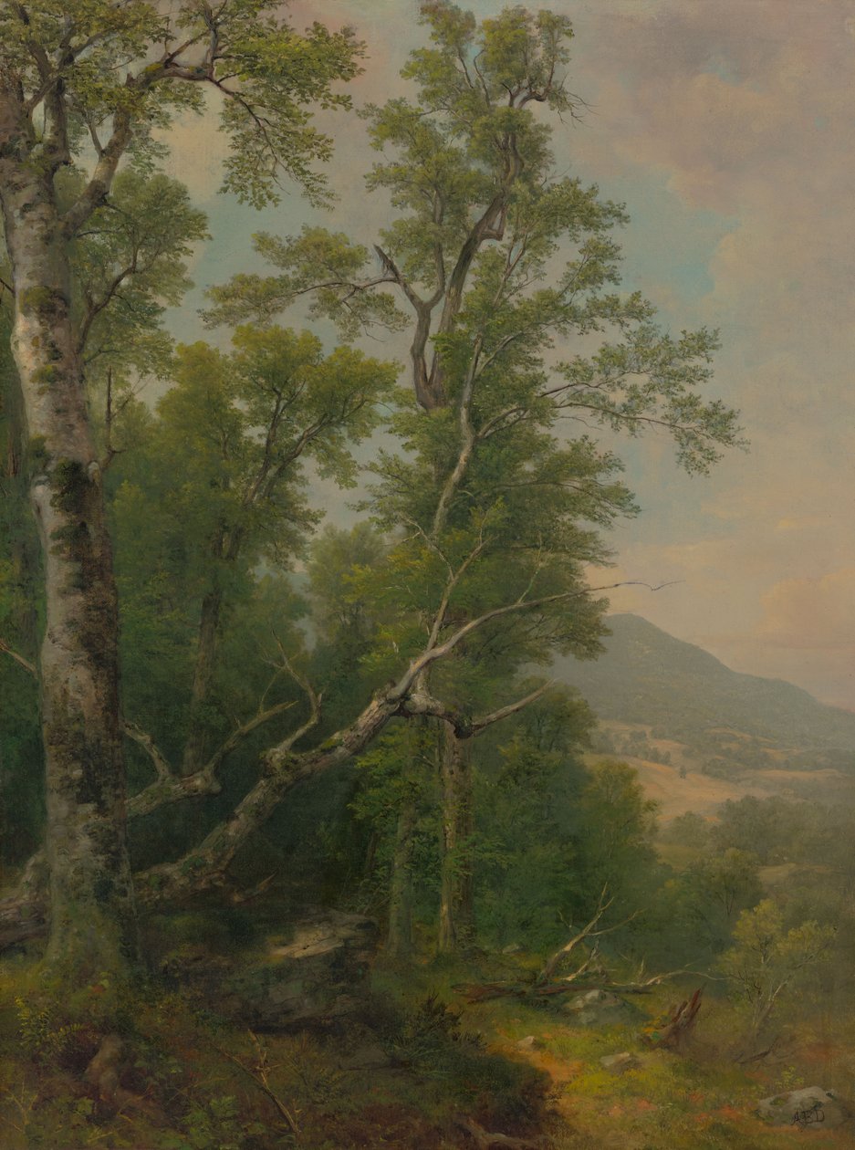 Étude des arbres - Asher Brown Durand