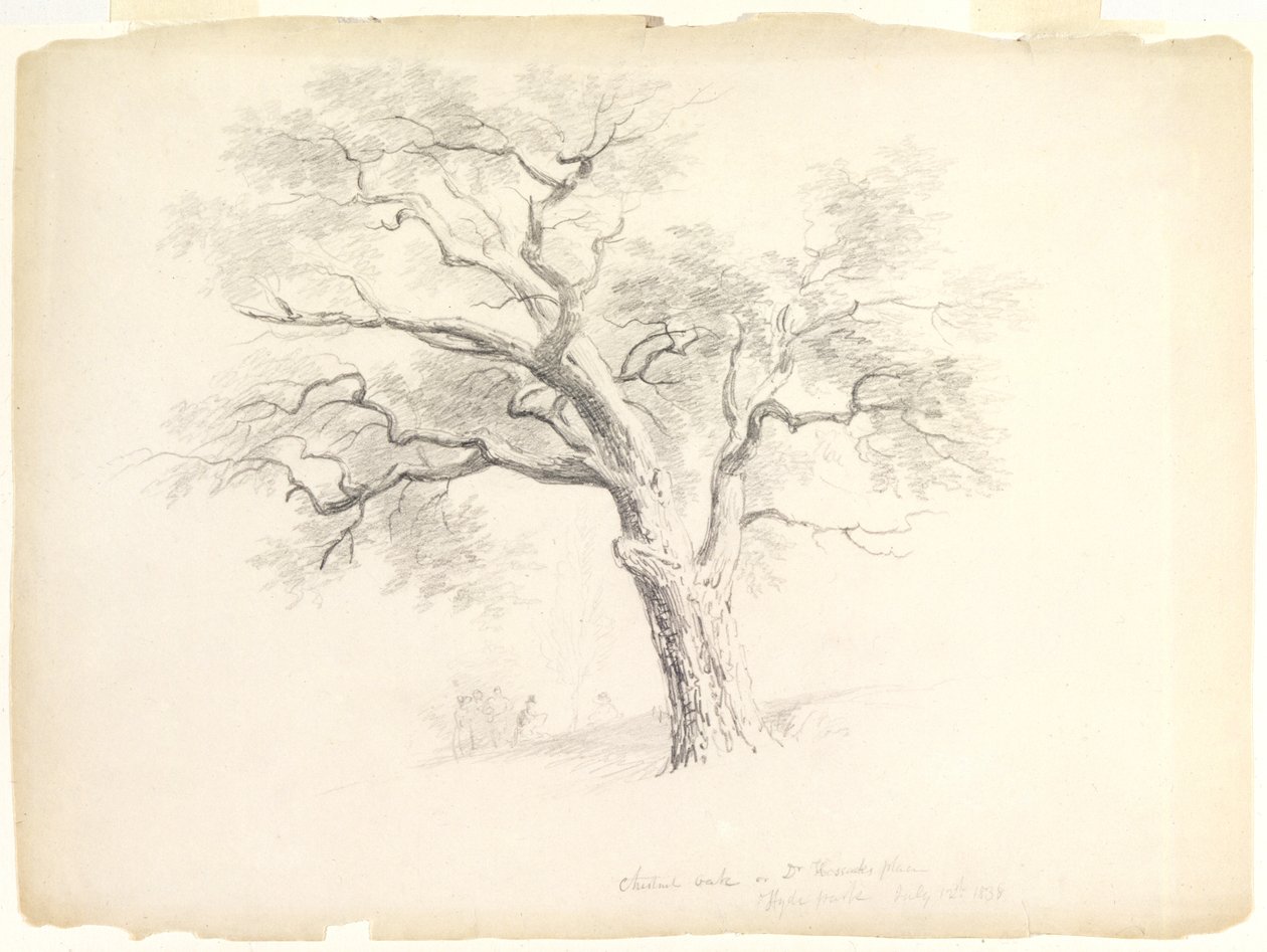 Le chêne à gros fruits sur le domaine Hosack, Hyde Park, New York avec cinq personnages et un artiste dessinant, 1838 - Asher Brown Durand