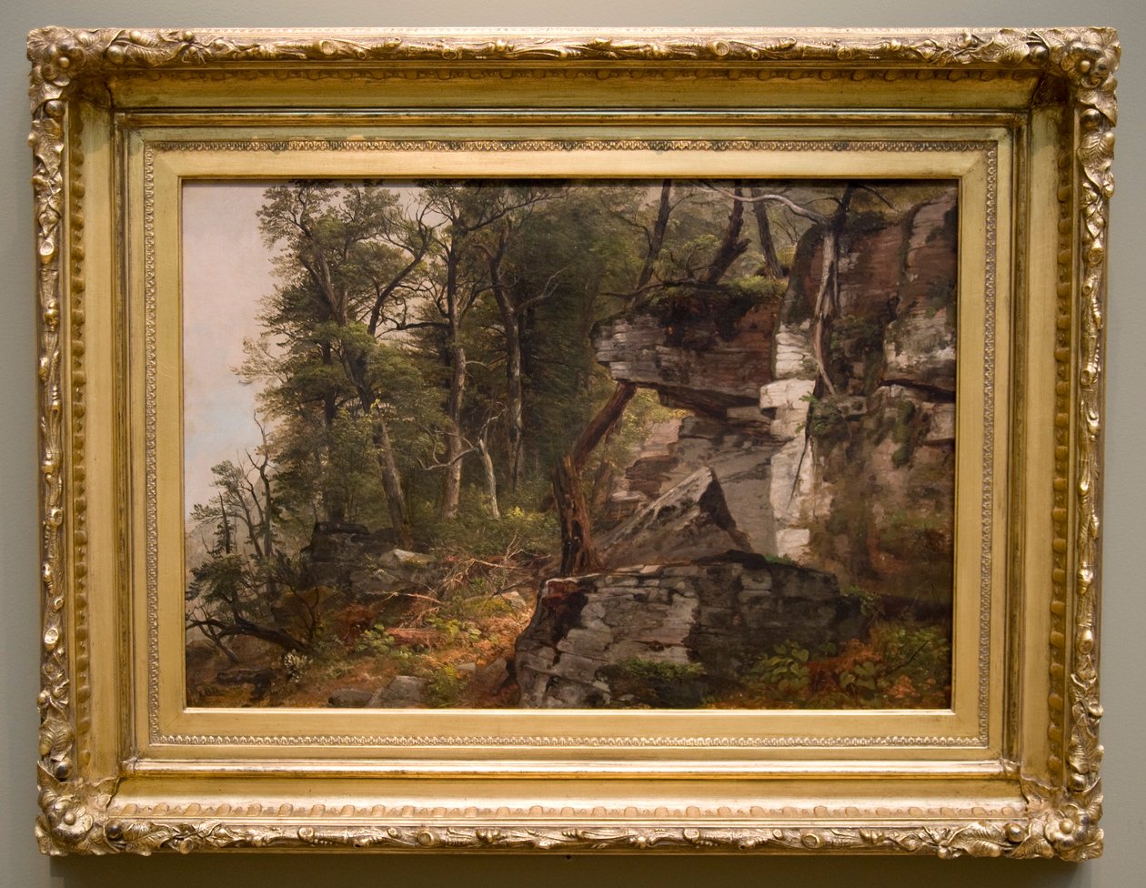 Arbres sur une colline rocheuse - Asher Brown Durand