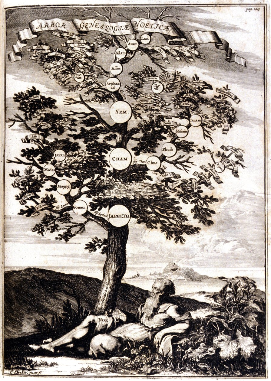 Arbre généalogique de Noé d