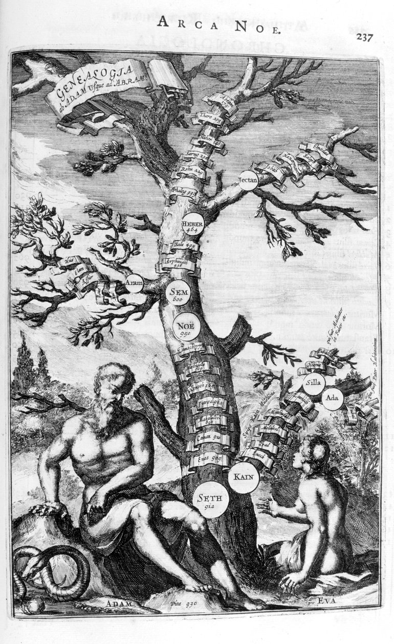 Arbre généalogique d