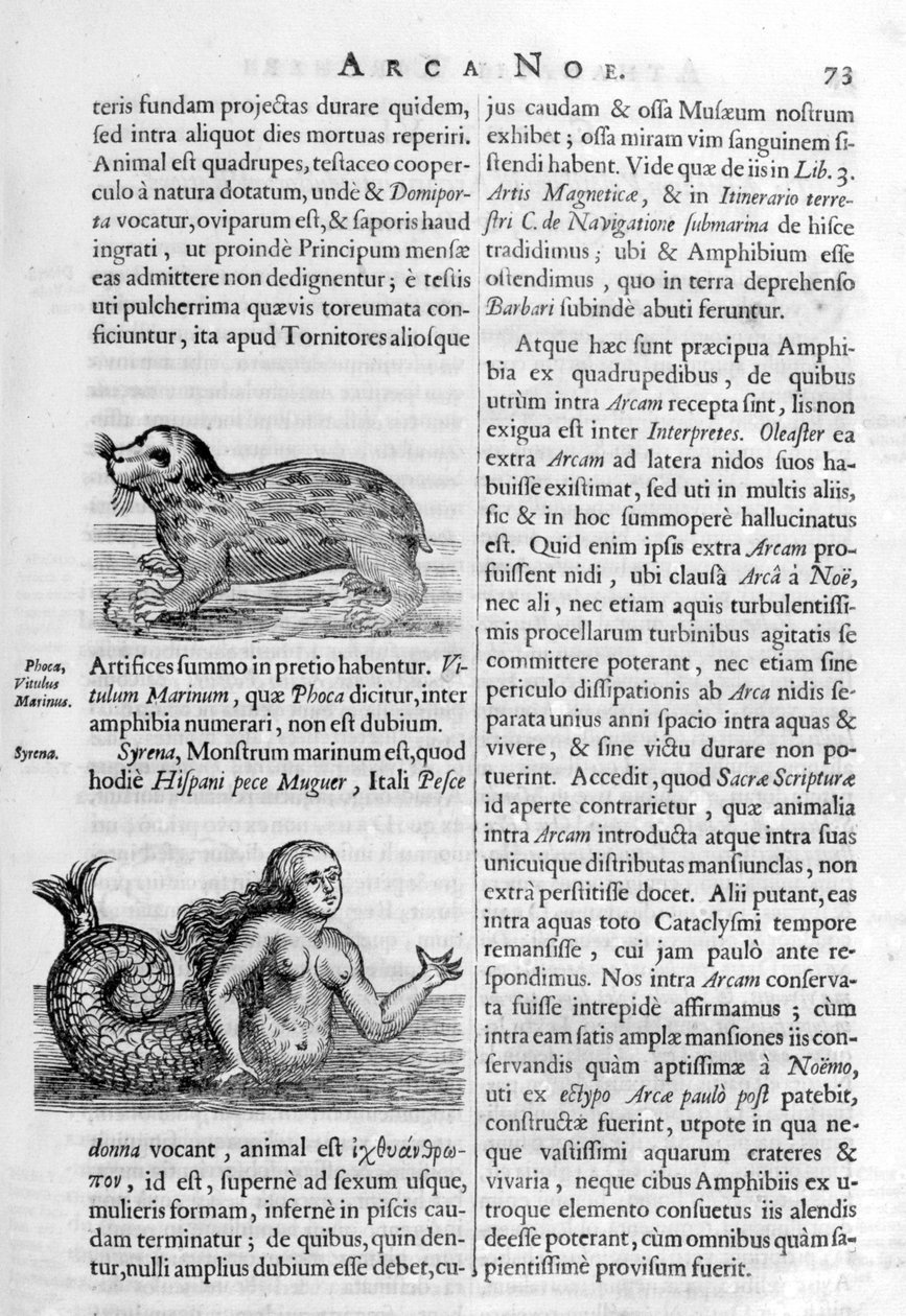 Créatures mythiques - Athanasius Kircher