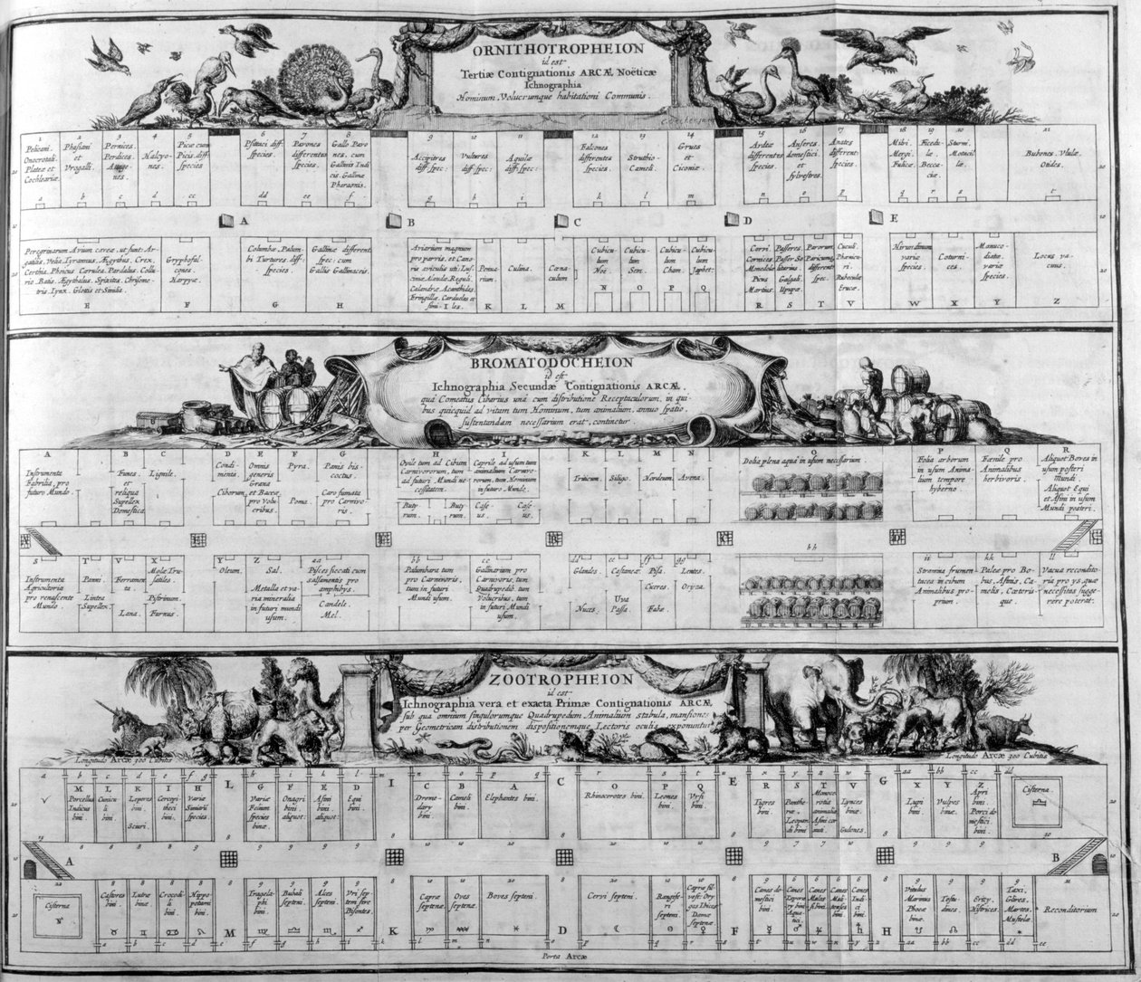 Table des espèces - Athanasius Kircher