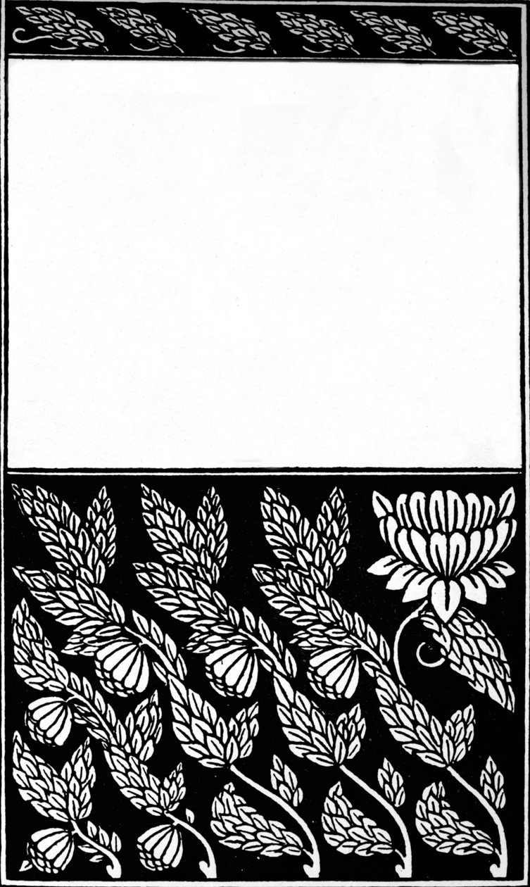 Conception de couverture de Nobody
