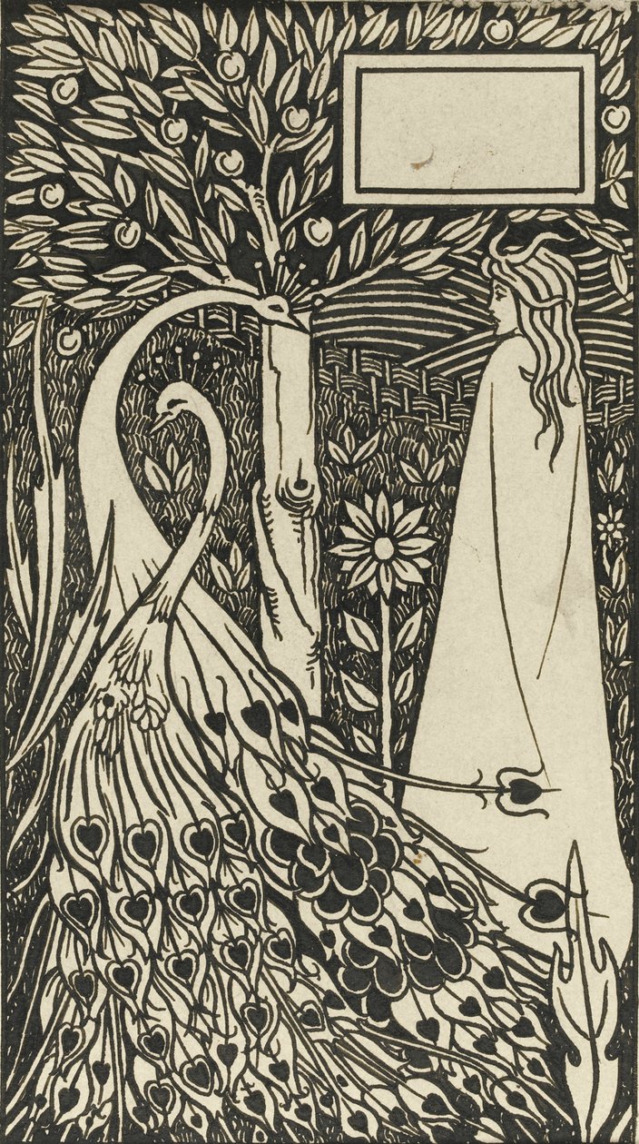 Illustration du livre Le Morte d