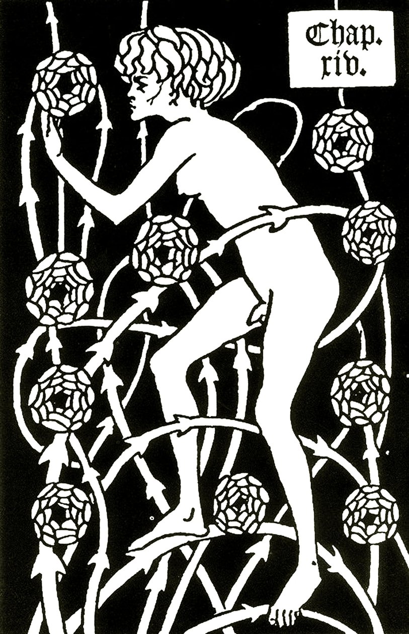 Hermaphrodite parmi les roses de Le morte d