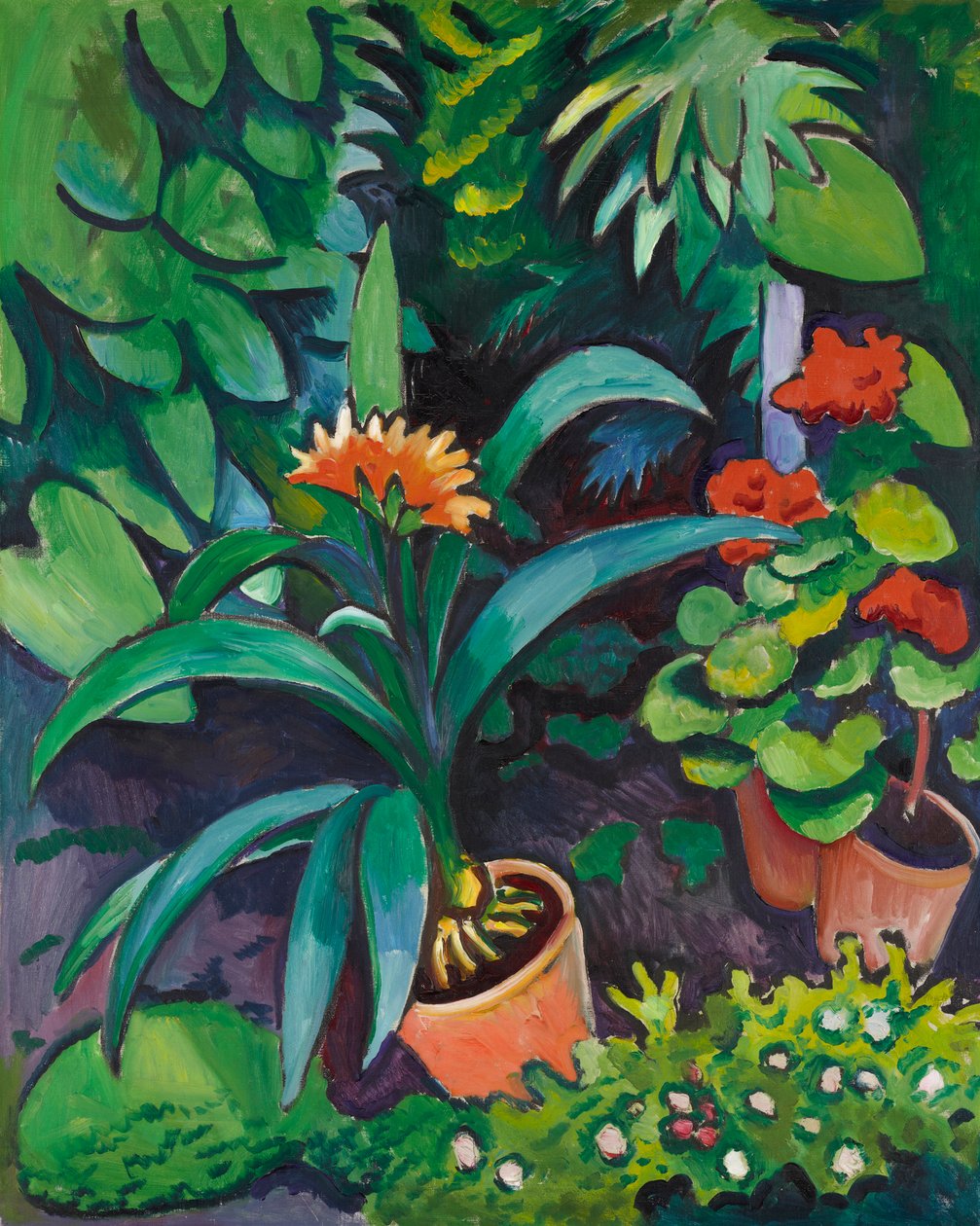 Fleurs dans le jardin, clivias et pélargoniums - August Macke