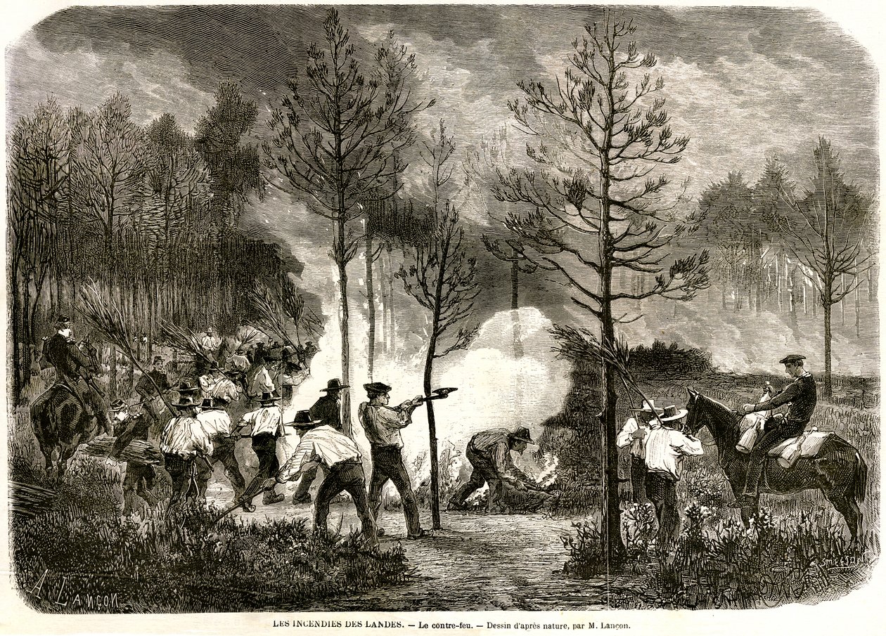 Le grand incendie des Landes, le contre-feu - Auguste Andre Lancon