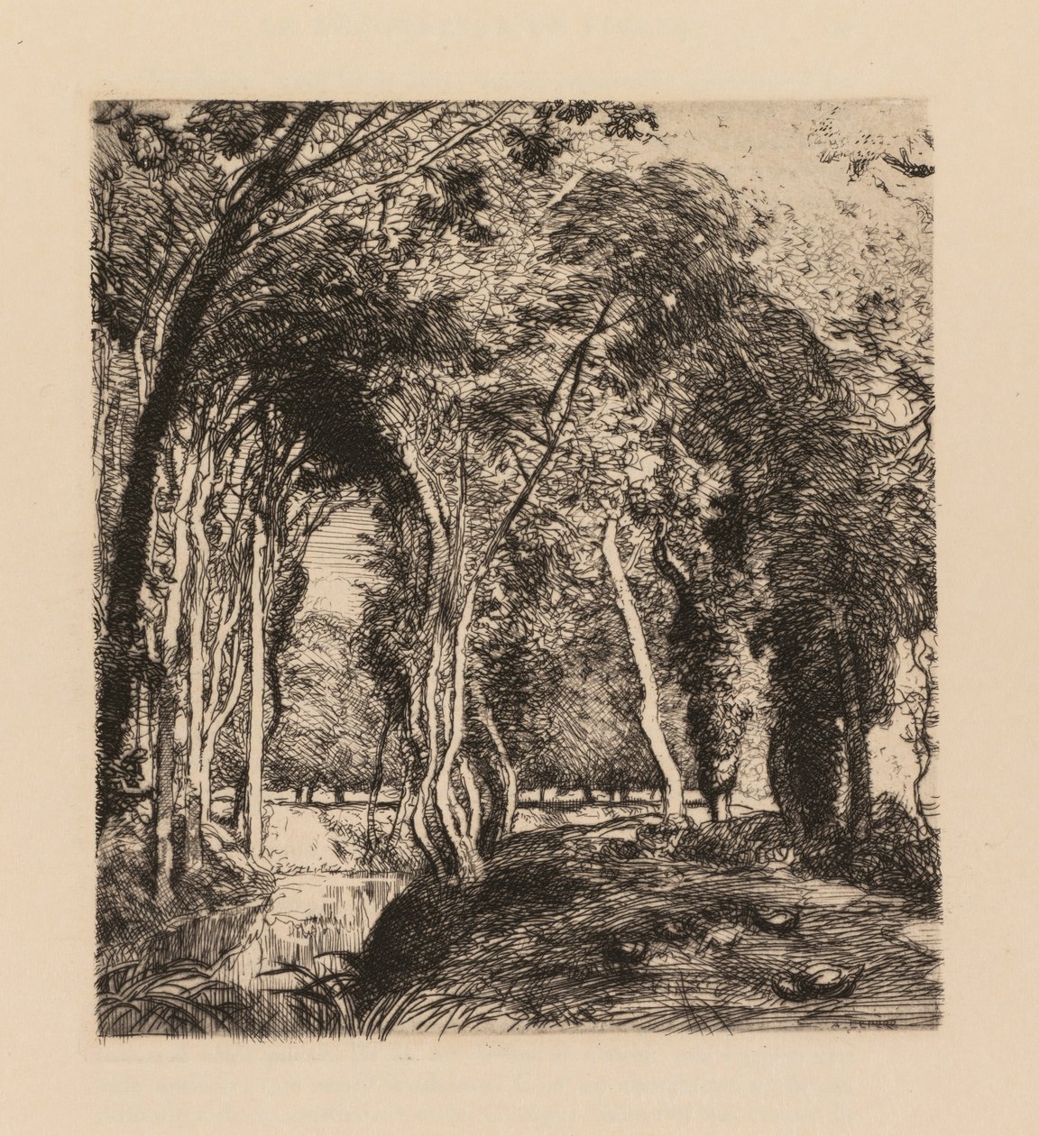 Auguste Lepère : Sous bois, à la Rigonette (Vendée) - Auguste Louis Lepère