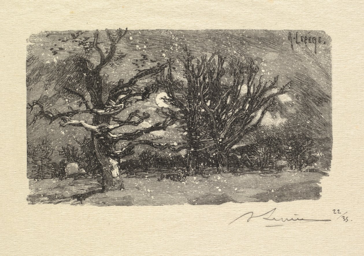 Forêt de Fontainebleau : Au dormoir de Lantara, 1890 - Auguste Louis Lepère