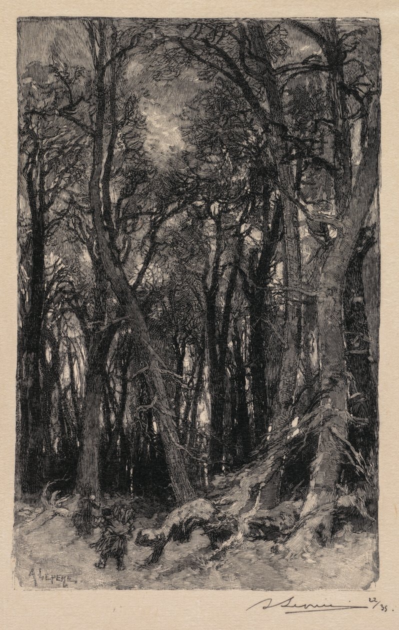 Forêt de Fontainebleau : Le Bas-Bréau, 1890 - Auguste Louis Lepère