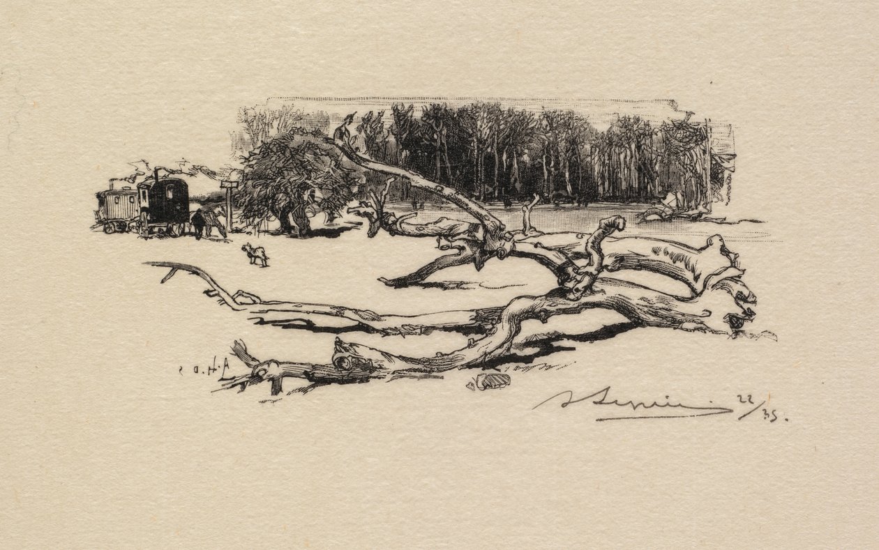 Forêt de Fontainebleau : Carrefour de l