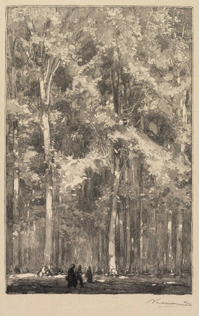 Forêt de Fontainebleau : Matin, Carrefour de la route des Forts de Marlotte..., 1890 - Auguste Louis Lepère