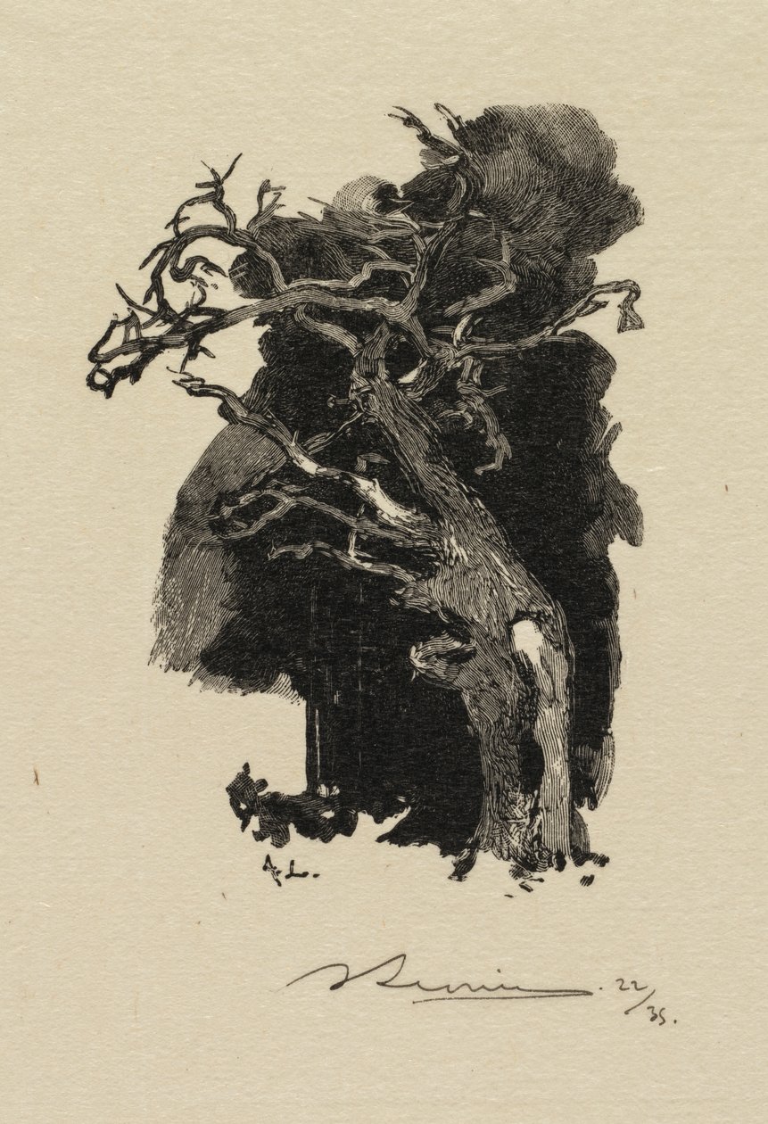 Forêt de Fontainebleau: Le Rageur - Auguste Louis Lepère