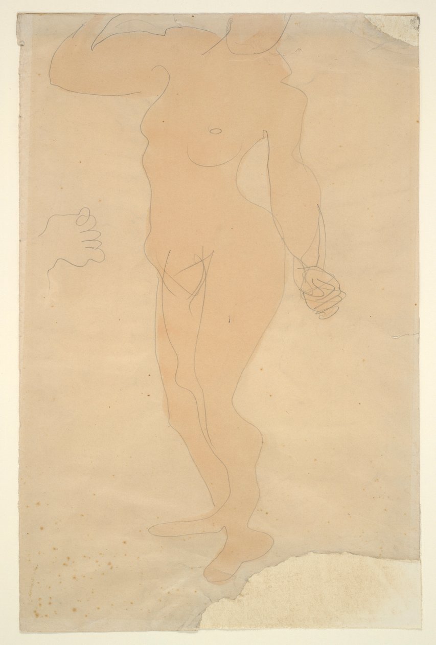 Nu debout (tête partiellement coupée par le bord du papier) - Auguste Rodin