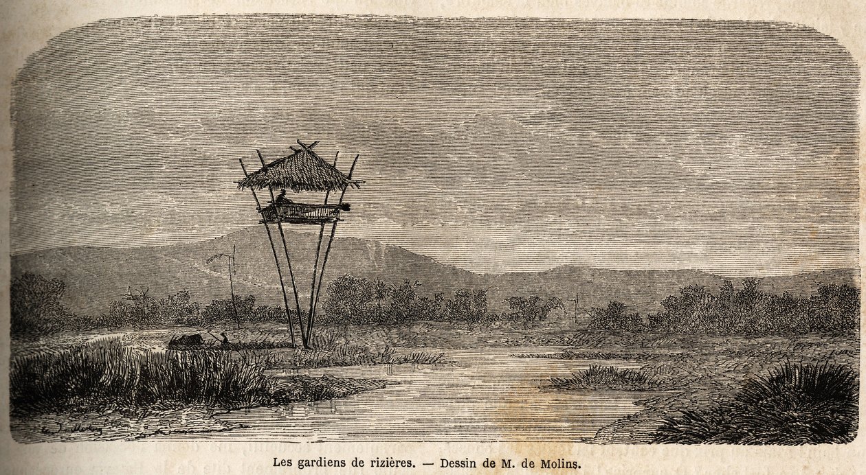 Un gardien de riz, près de Batavia (Jakarta actuel). Dessin de M. de Molins, pour illustrer son voyage à Java - Auguste de Molins