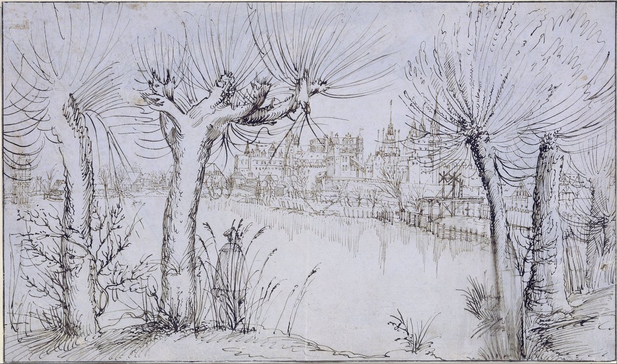 Étang devant une ville - Augustin Hirschvogel