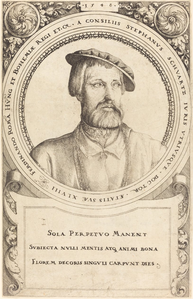 Docteur Stephen Schwartz, 1548 - Augustin Hirschvogel