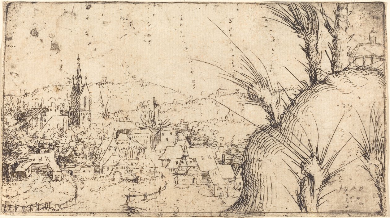 Paysage avec une Ville à Gauche - Augustin Hirschvogel
