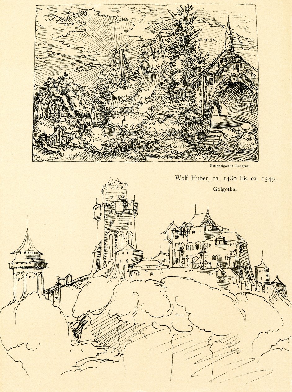 Étude de la nature - Augustin Hirschvogel