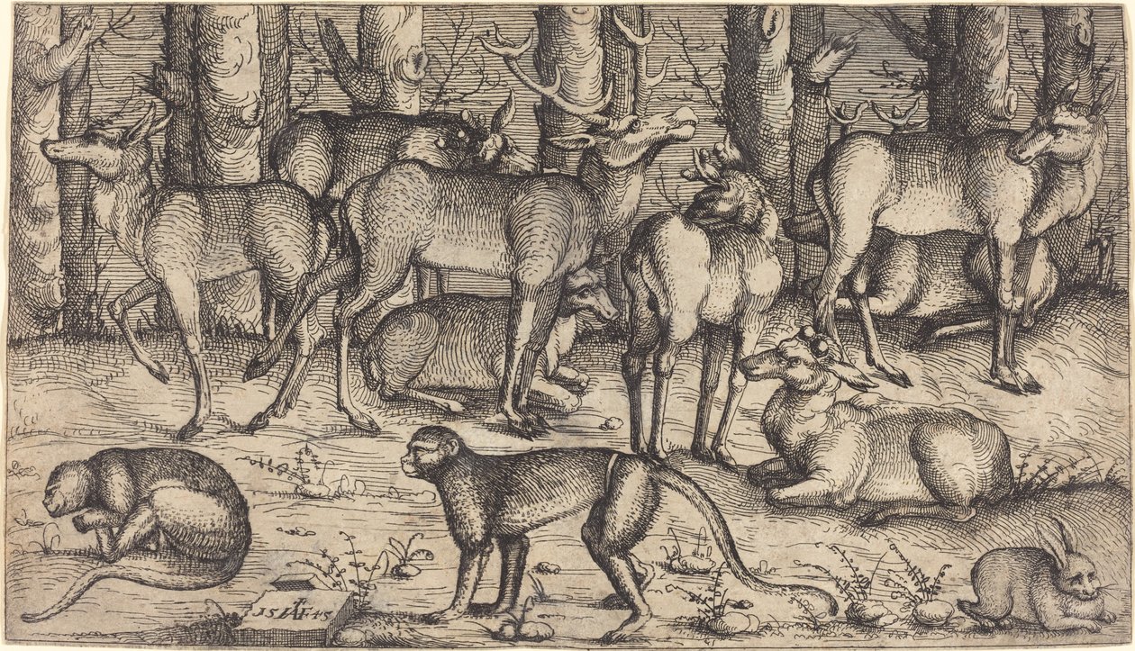 Cerfs dans la forêt - Augustin Hirschvogel