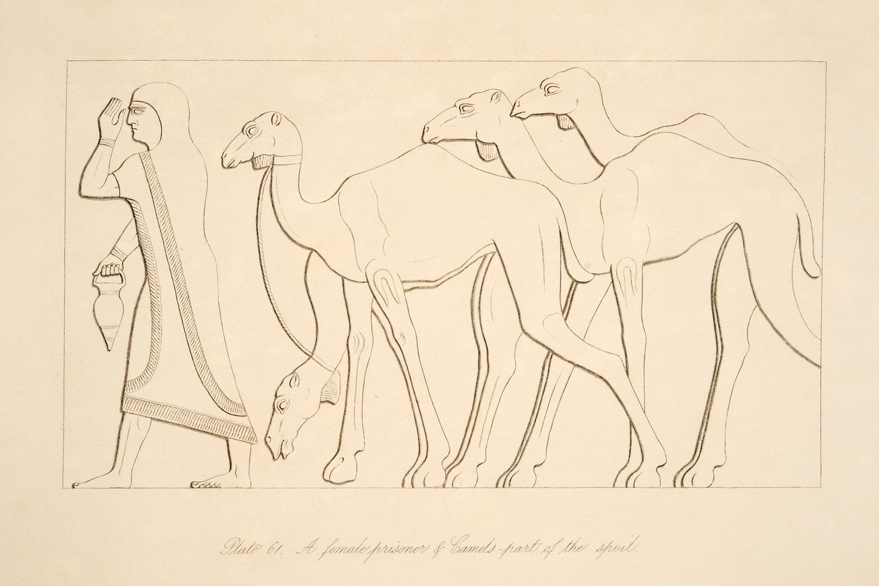 Une prisonnière et un chameau, illustration des Monuments de Ninive, 1849 - Austen Henry Layard