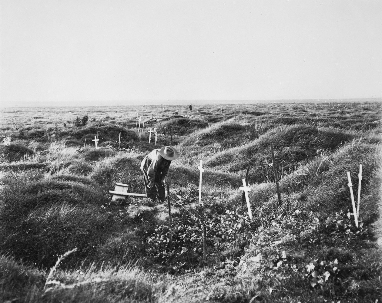 Vue des tombes australiennes dispersées le long de la ligne OG1 sur le champ de bataille de Pozières, 16 septembre 1917 - Australian Photographer