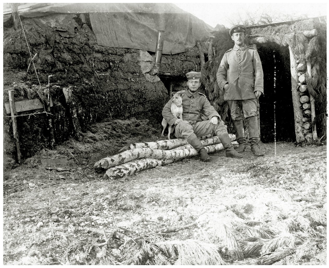 Soldats autrichiens avec un chien, 1914-18 - Austrian Photographer