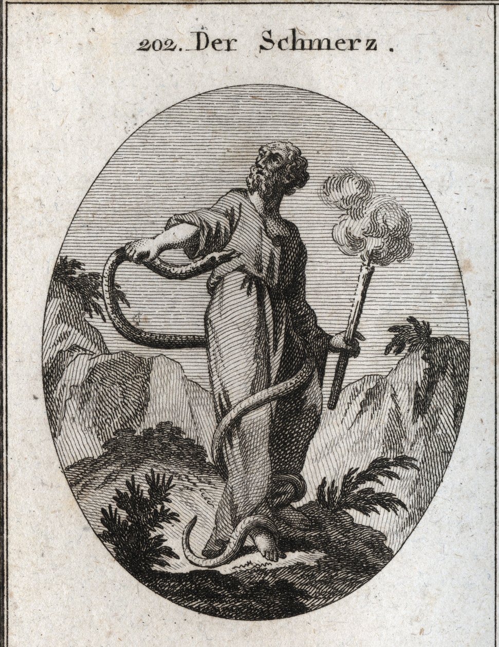Allégorie de la douleur. Un serpent monstrueux entoure celui qui, après avoir lié ses pieds, gagne son corps et tente de mordre son cœur. Elle tient une torche qui fume encore, ce qui signifie que l