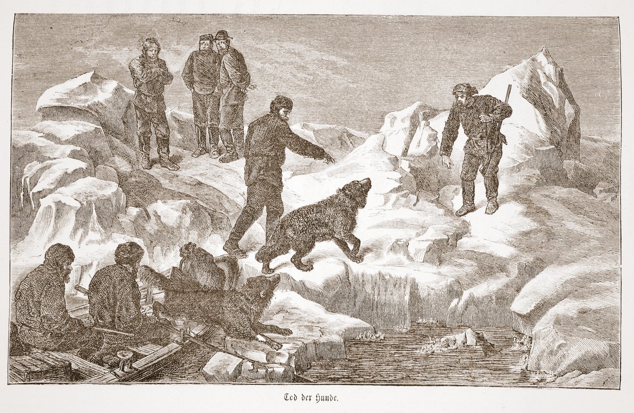 Chasse avec des chiens, 1876 - Austrian School