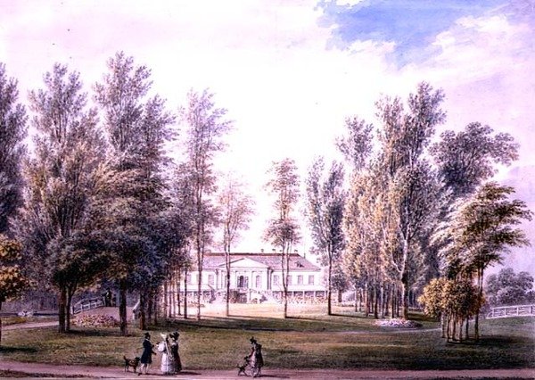 Vue d
