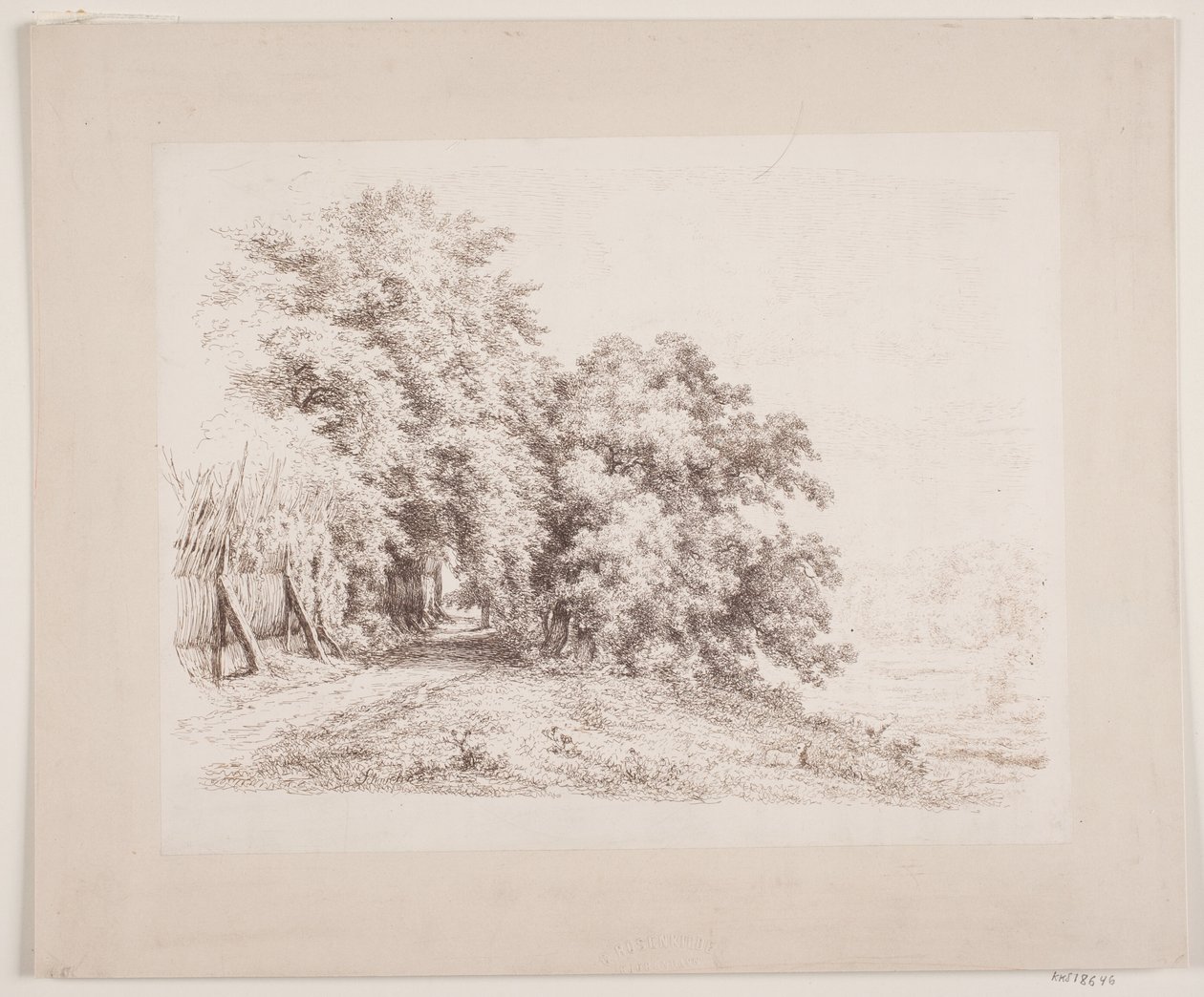 La route bordée de haies passant par des arbres et des prés - Axel Schovelin