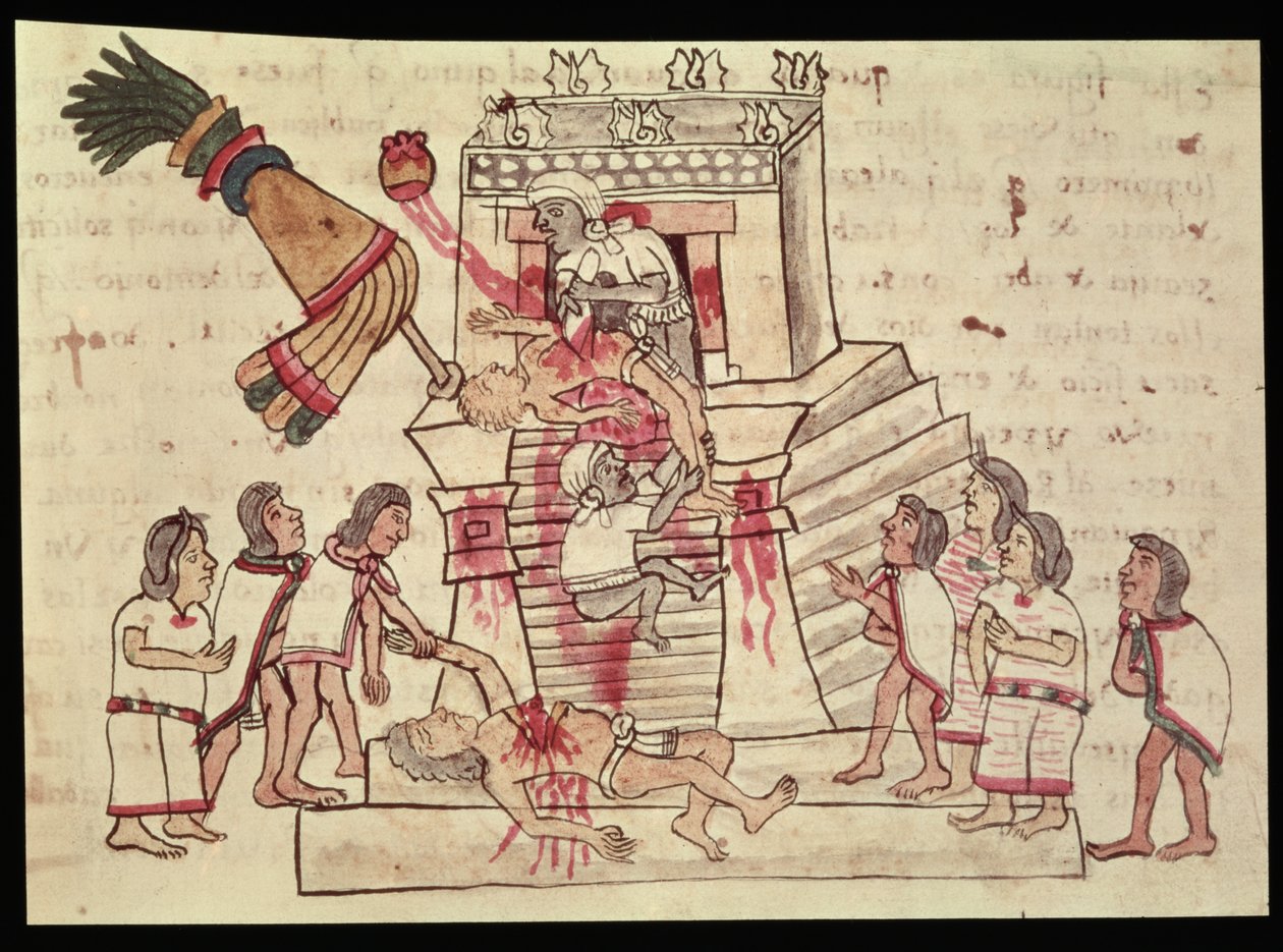 Un sacrifice humain du Codex Magliabechiano - Aztec