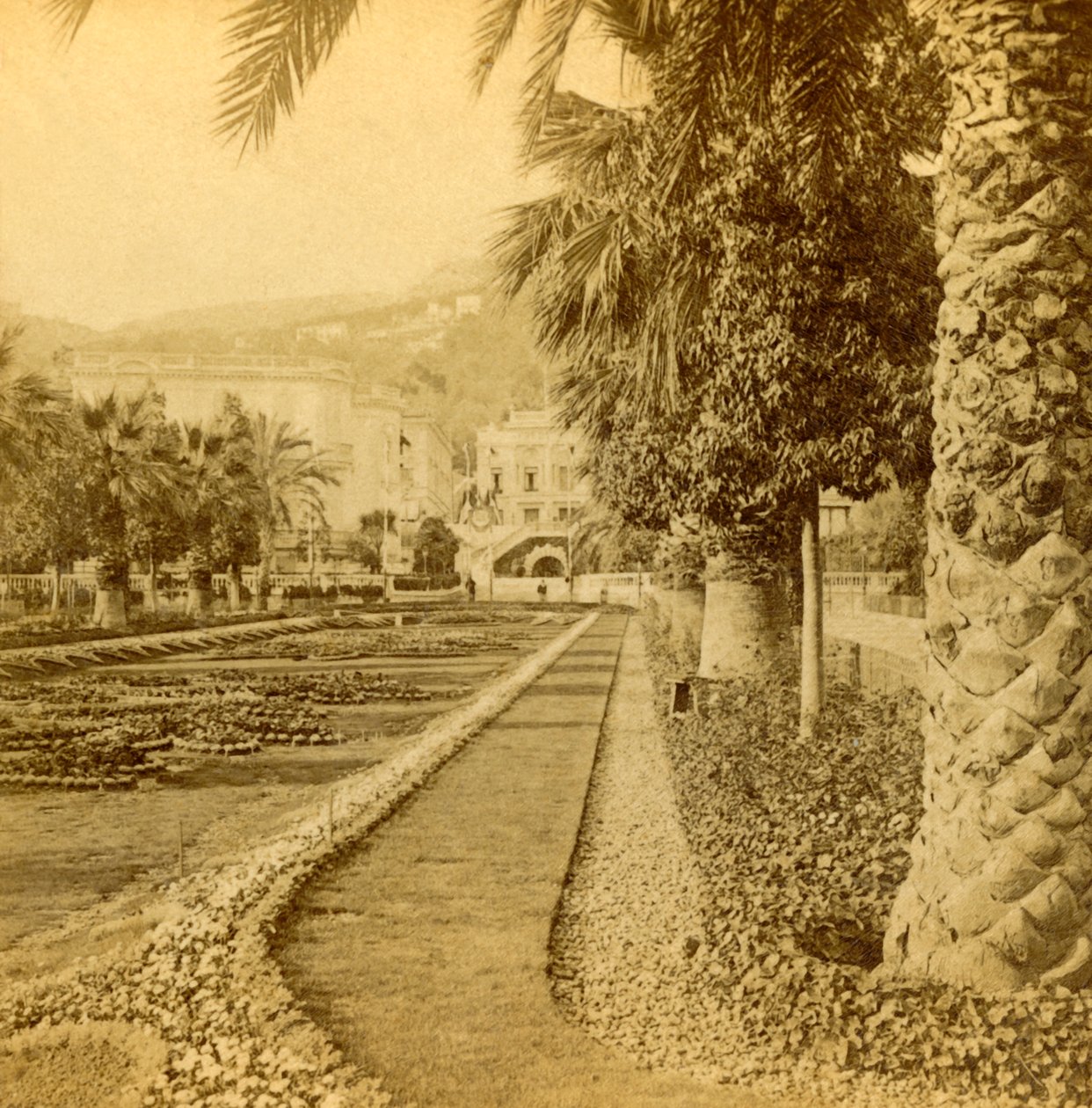 Monte Carlo, vue depuis le Casino, 1897 - B. W. Kilburn