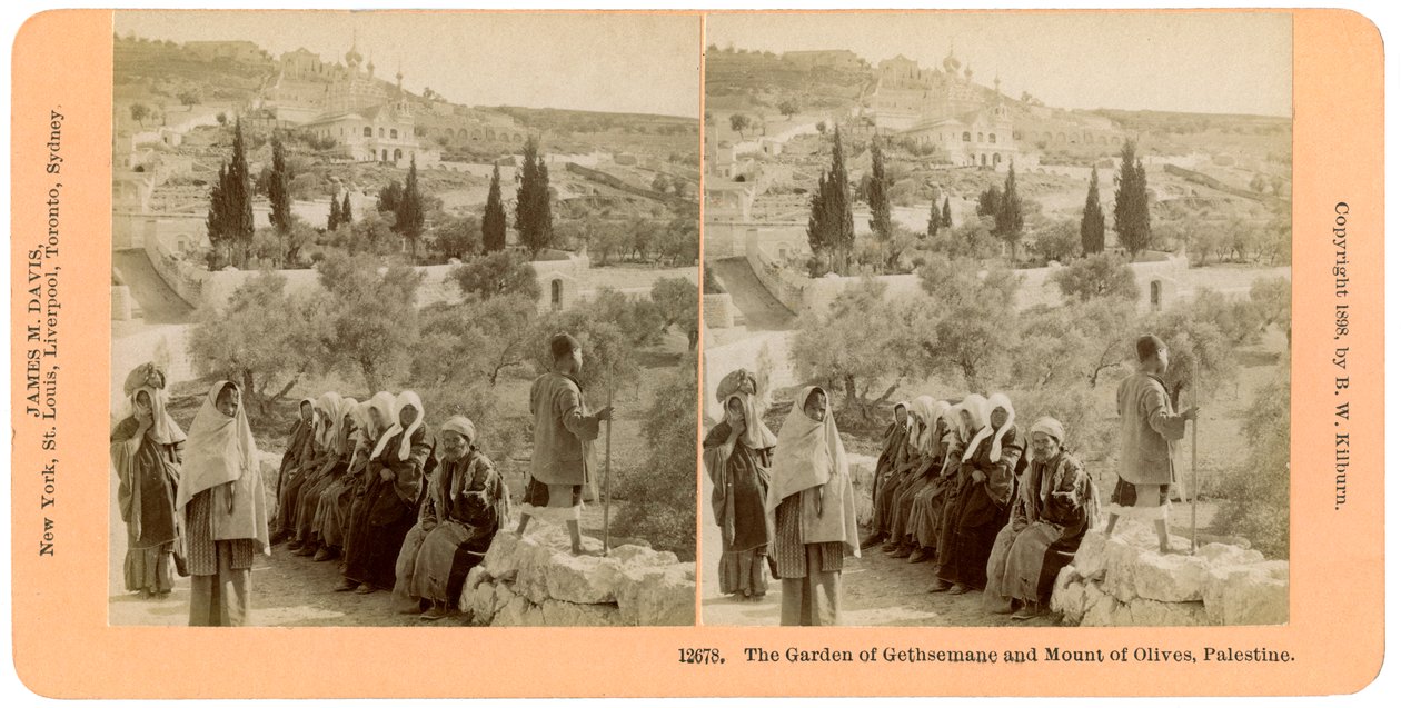 Le jardin de Gethsémani et le mont des Oliviers, Palestine, 1898 - B. W. Kilburn