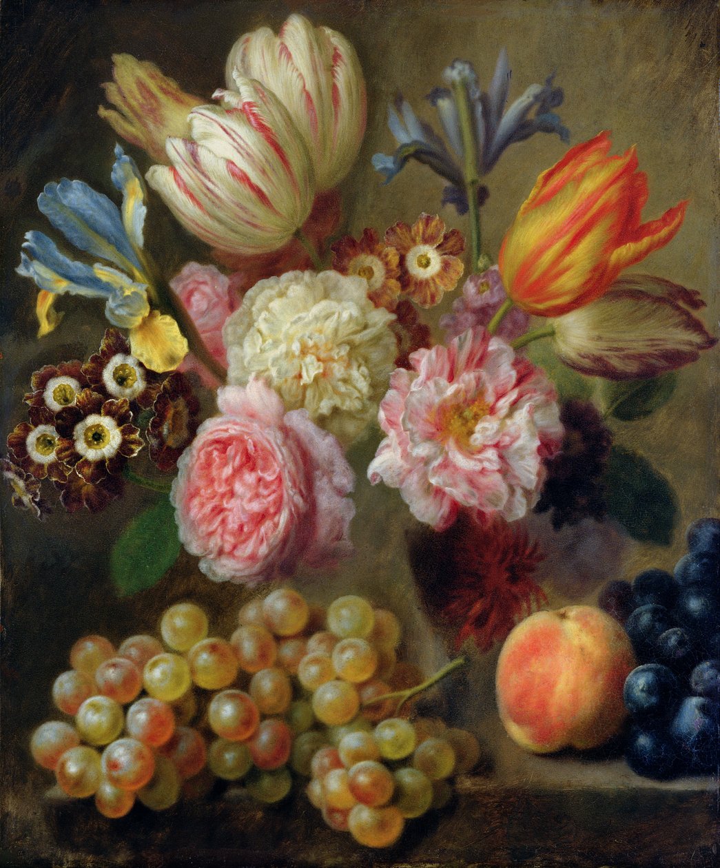 Étude de Fleurs - Balthasar Denner